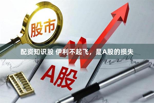配资知识股 伊利不起飞，是A股的损失