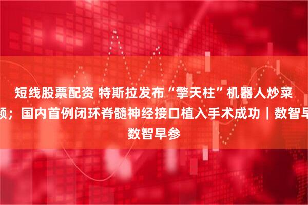 短线股票配资 特斯拉发布“擎天柱”机器人炒菜视频；国内首例闭环脊髓神经接口植入手术成功｜数智早参