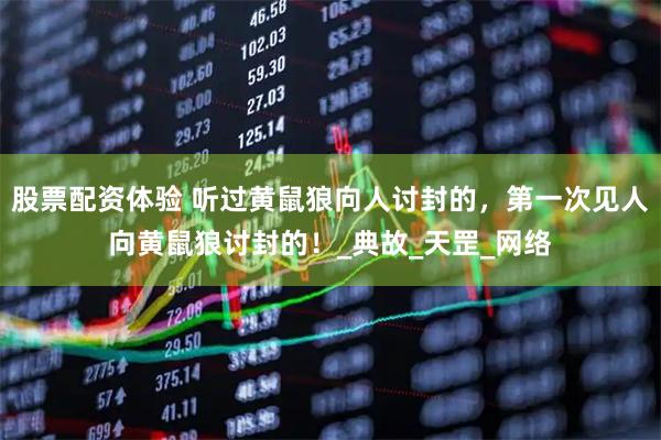 股票配资体验 听过黄鼠狼向人讨封的，第一次见人向黄鼠狼讨封的！_典故_天罡_网络